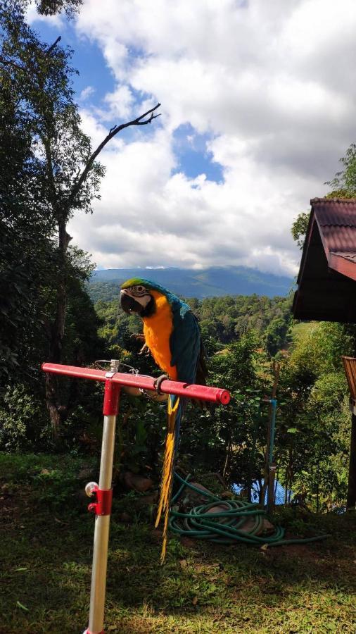 Peamoo Homestay Chom Thong Exterior foto